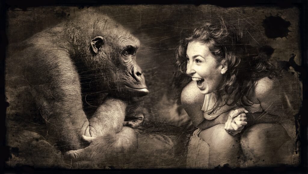 gut feeling quotes a gorilla and a girl