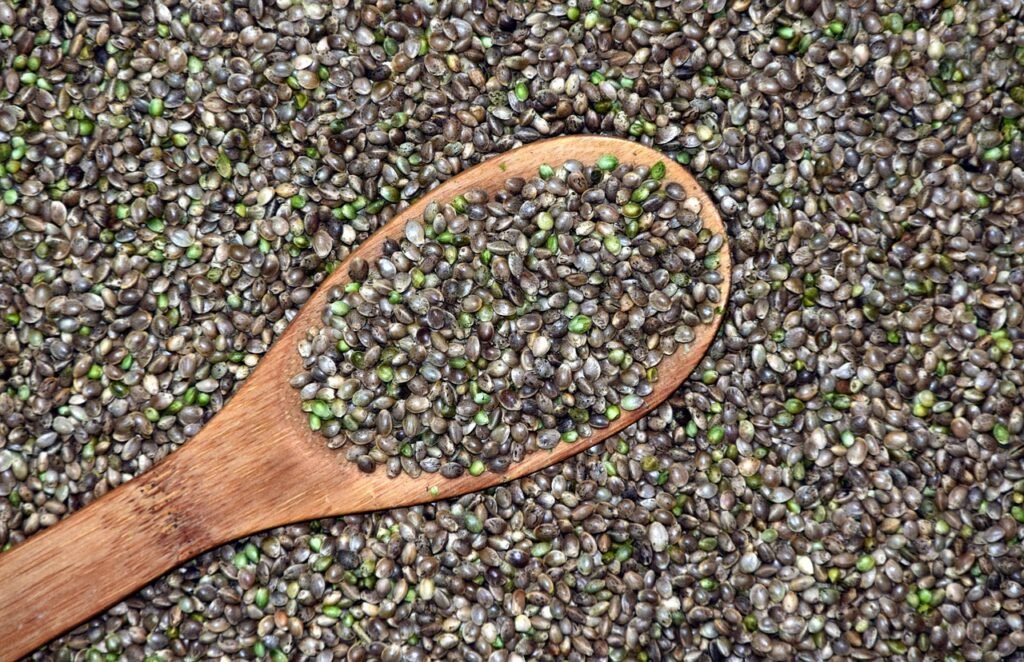 hemp seed is one of the Vegan Omega-3 Sources